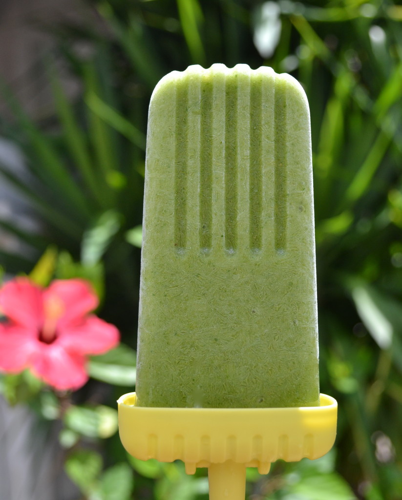 Freeze leftover smoothie into popsicle molds