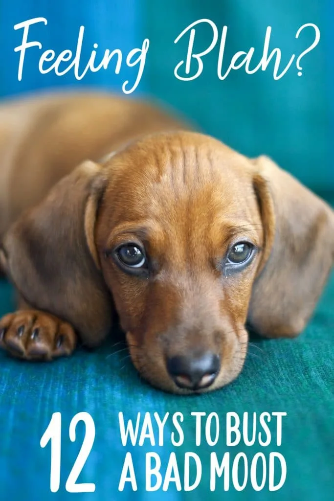 Feeling blah? Here are 12 ways to improve your mood.