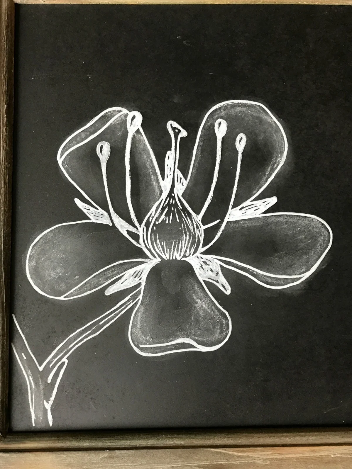 Using a chalkboard marker, trace and fill in the design