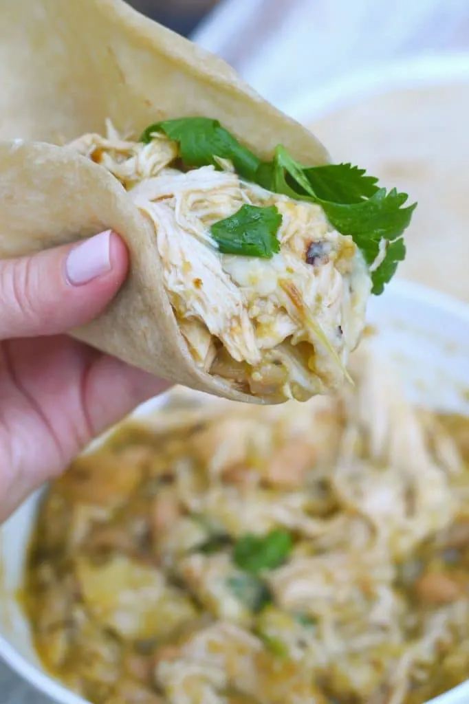 Chicken chile verde stew in a flour tortilla