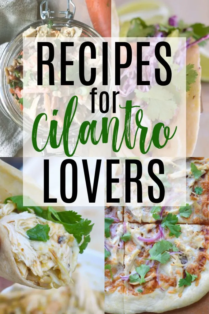 Recipes for Cilantro Lovers