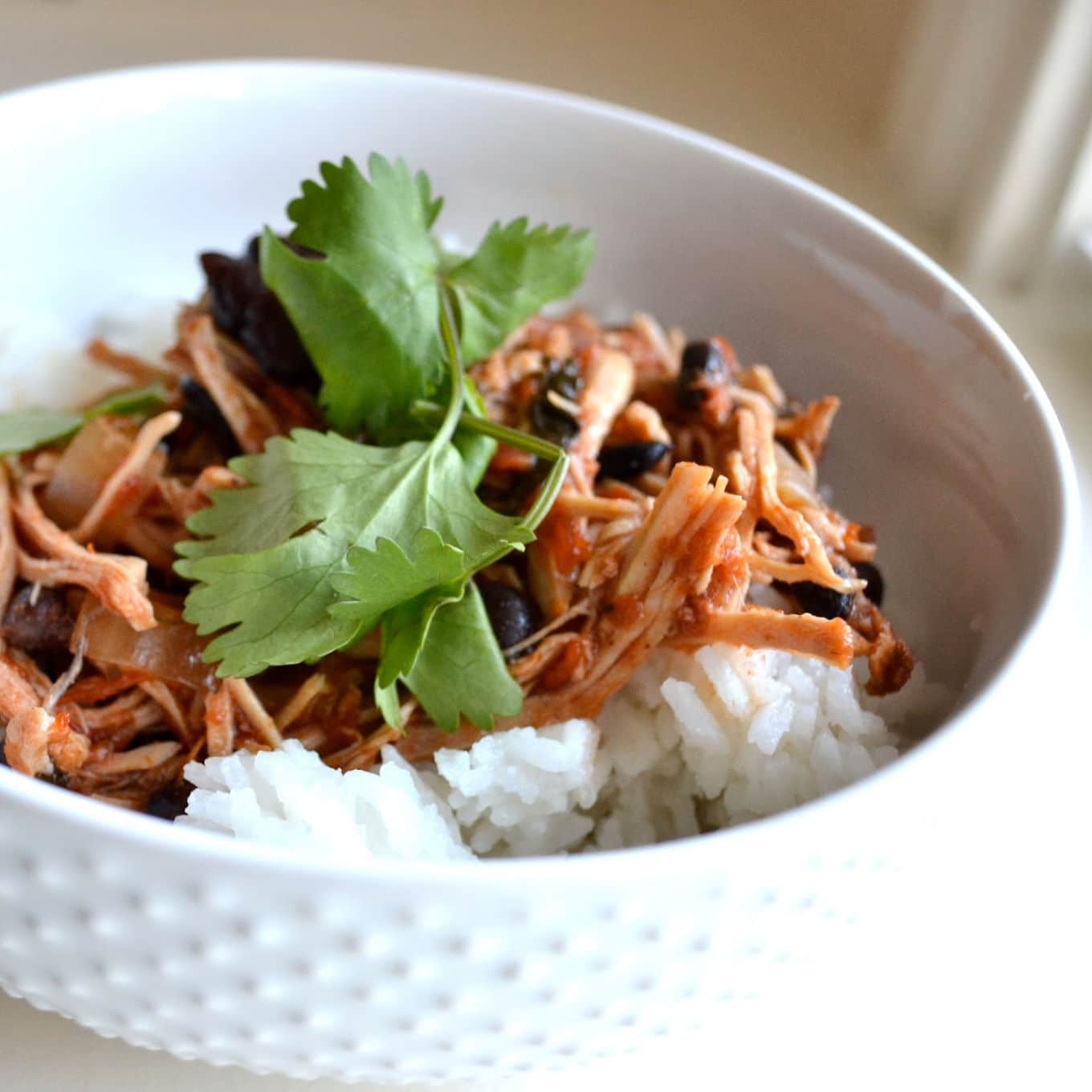 Slow Cooker Mexican Pork Good in the Simple