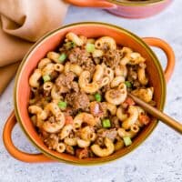 Bowl of venison goulash