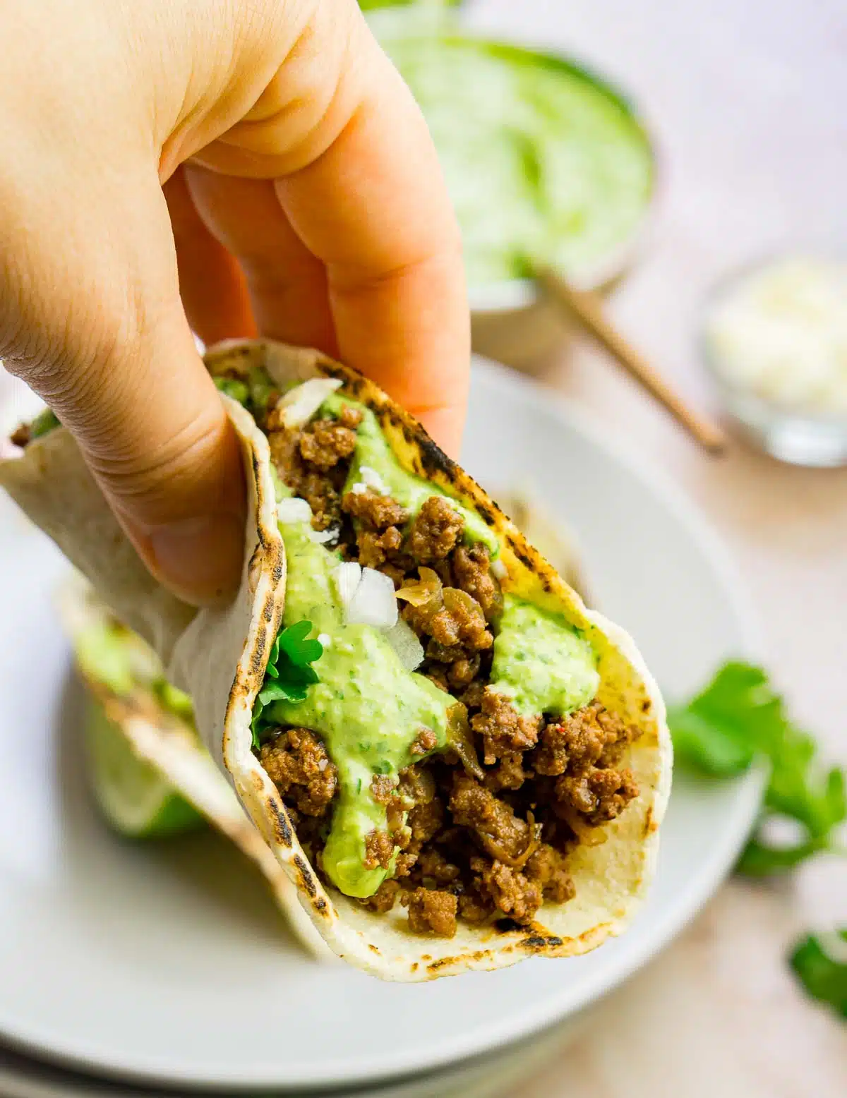 Hand holding a taco with ground bison meat